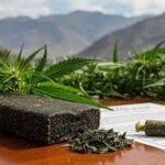 THCA Vape Köp THCA THCA Sverige – Unlocking the Wellness Revolution