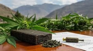 THCA Vape Köp THCA THCA Sverige – Unlocking the Wellness Revolution